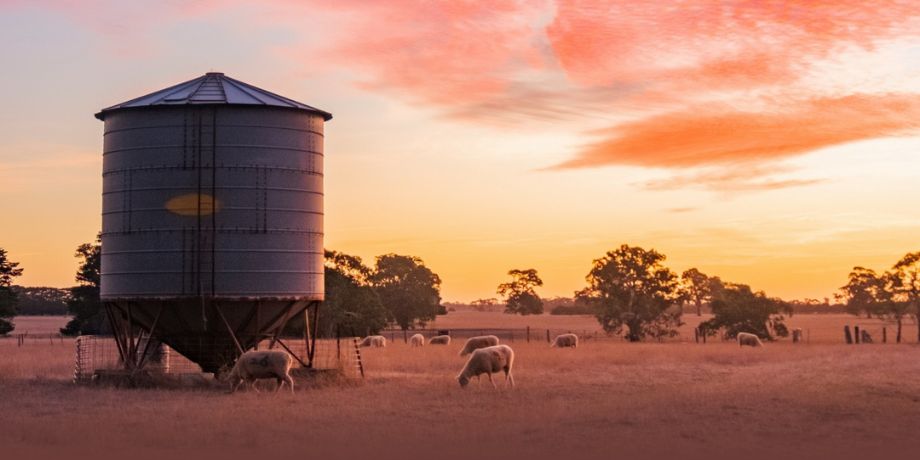 How to fall-proof your farm work with specialist height safety equipment